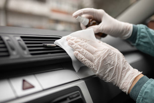Best Affordable Duct Cleaning Services  in Ripley, WV