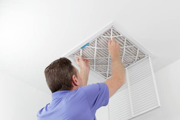 Best Air Duct Sanitizing Services  in Ripley, WV